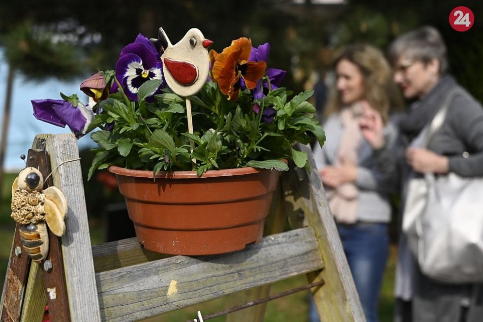 Ilustračný obrázok k článku Jarné výstavy a veľtrhy na trenčianskom výstavisku pre koronavírus zrušili: Spomienkové FOTO