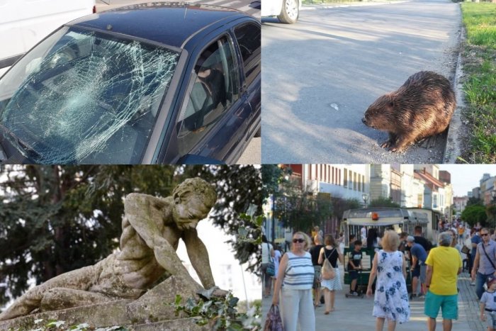 Ilustračný obrázok k článku Najčítanejšie správy týždňa: 5 udalostí z Nitry, ktoré vás zaujali najviac