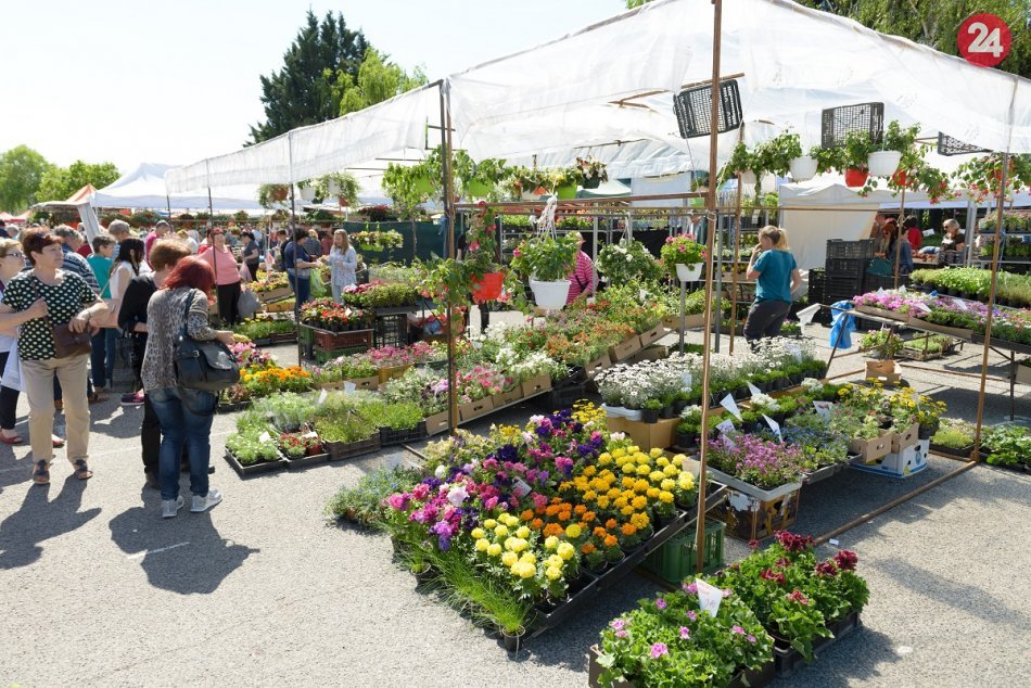 Ilustračný obrázok k článku Na Agrokomplexe je voľné miesto s nástupom ihneď! Takýto je PLAT