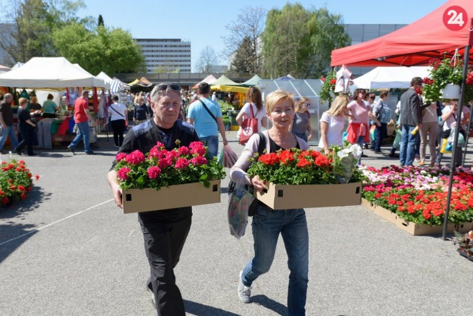 Ilustračný obrázok k článku Záhradkári, pozor: Blíži sa obľúbená jarná výstava v Nitre, PROGRAM