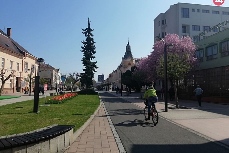 Ilustračný obrázok k článku Home office alebo v práci? Zapojte sa do ekologickej sútaže