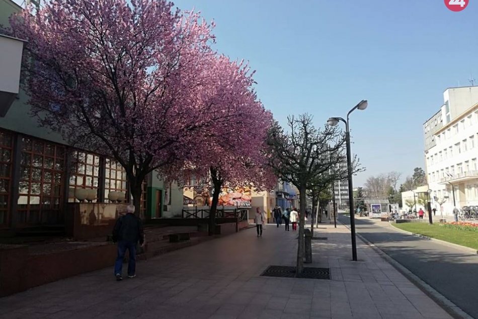 Ilustračný obrázok k článku Druhé miesto v rámci kraja: Stúpli nové prípady v okrese Michalovce