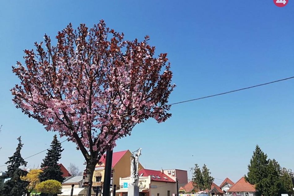 Ilustračný obrázok k článku Dobré správy! Sme bez nového prípadu koronavírusu