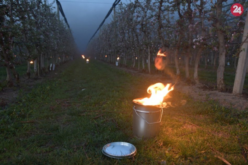 Ilustračný obrázok k článku Varovanie meteorológov: V celom Nitrianskom kraji hrozí prízemný MRÁZ