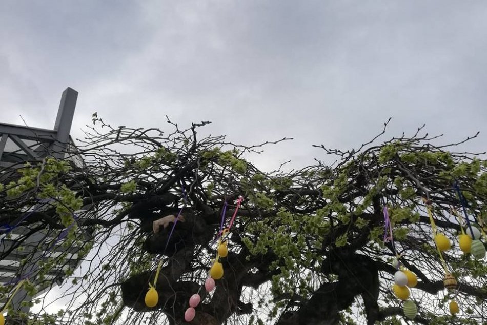 Ilustračný obrázok k článku Páčil sa vám kraslicový strom? Bol symbolom veľkonočného námestia