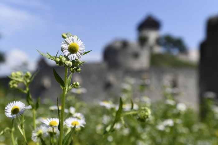 Ilustračný obrázok k článku RANNÁ ŠTVORKA: Nedeľa prinesie teploty do 21 stupňov, oslavuje Ervin