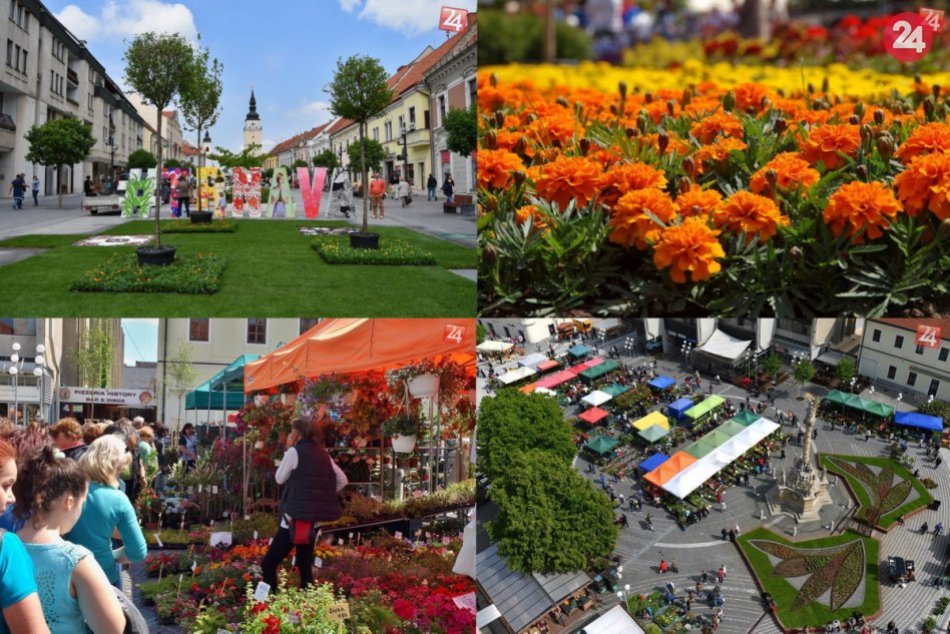 Ilustračný obrázok k článku Májový kvet skrášli centrum Trnavy aj tento rok: Poznáme program podujatia