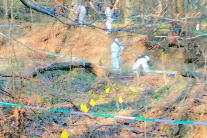 Ilustračný obrázok k článku Polícia vyšetruje vraždu dôchodcu (†77) zo Spišskej: Mal viacnásobné strelné zranenia