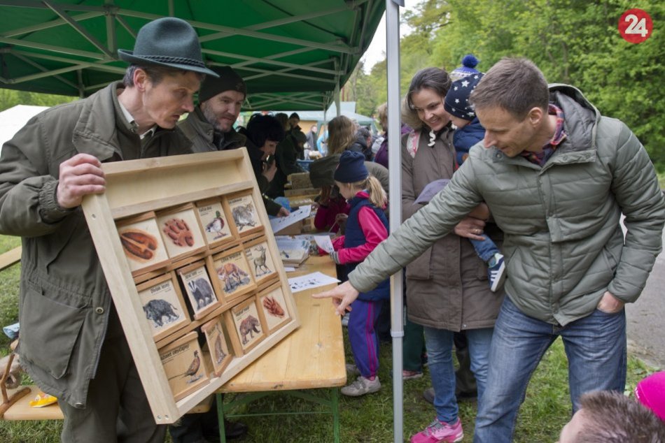 Ilustračný obrázok k článku Lesníci vo Zvolene predstúpia pred ľudí s výzvou. Lákajú aj programom na námestí