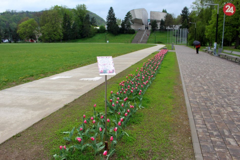 Ilustračný obrázok k článku Čo sa dá zažiť na prelome mesiacov? Pestrá ponuka tipov pre Bystričanov