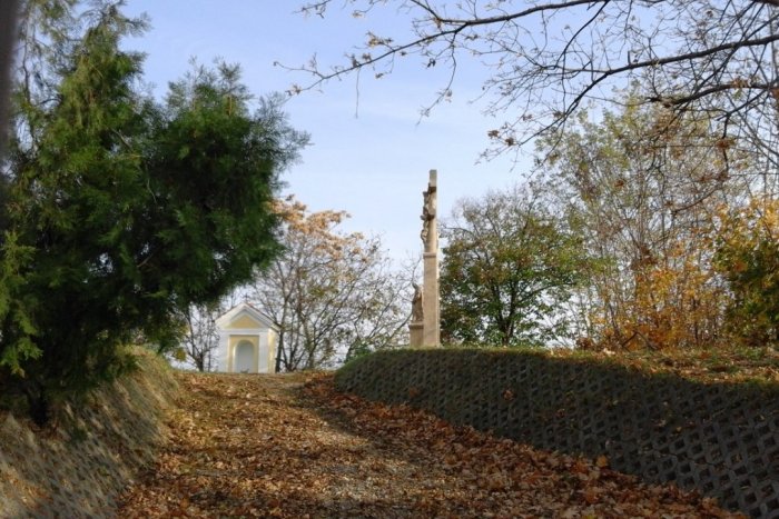 Ilustračný obrázok k článku Močenok bude ešte zelenší: Samospráva sa zapojila do národného projektu