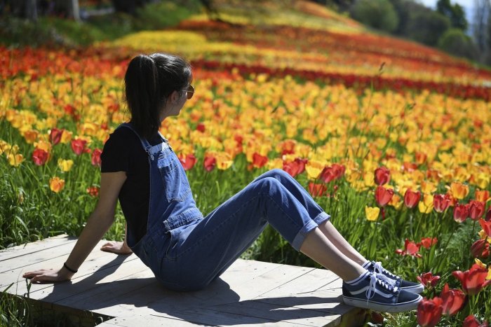 Ilustračný obrázok k článku RANNÁ ŠTVORKA: Vo štvrtok sa teploty vyšplhajú na 24 stupňov, meniny má Marek