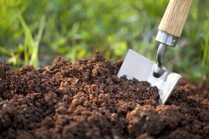 Ilustračný obrázok k článku Kompostér zadarmo dostanú ďalší žiadatelia