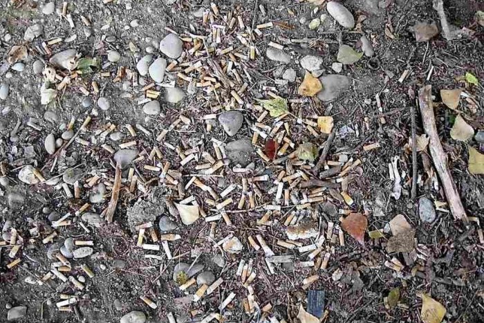 Ilustračný obrázok k článku Upracme Slovensko: Pri príležitosti Dňa Zeme nezaháľajú ani hlohovskí aktivisti