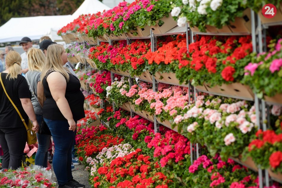 Ilustračný obrázok k článku Agrokomplex ruší ďalšie výstavy: Nebude sa konať ani Gardenia či veľtrh práce