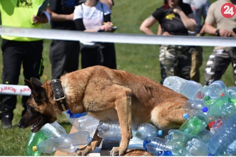 Ilustračný obrázok k článku Výborný výsledok polície zo Zámkov: Bodovala na náročnej súťaži psovodov, FOTO