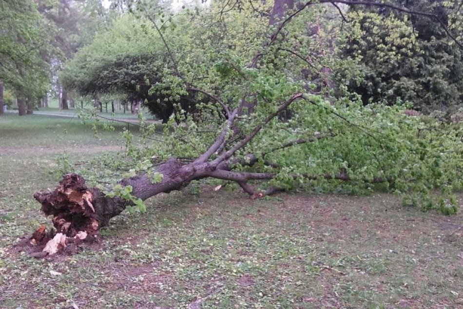 Ilustračný obrázok k článku Na Nitru sa valí silný vietor: Meteorológovia vydali výstrahu 2. stupňa