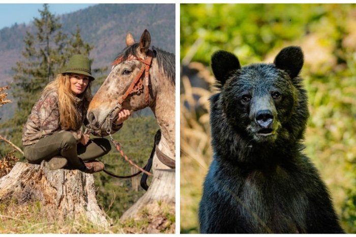 Ilustračný obrázok k článku Zábery Vierky (30) z obce pri Martine, z ktorých tuhne krv: Medveďovi zoči-voči