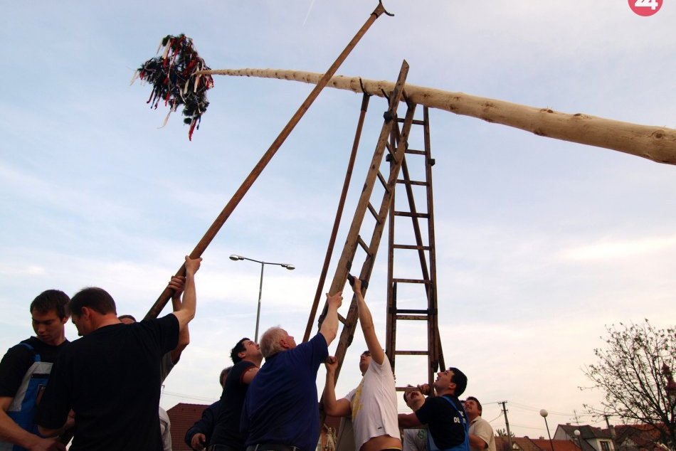 Ilustračný obrázok k článku Postaviť máj a hor sa bozkať pod čerešňu: V okolí Trnavy sú tradície stále živé