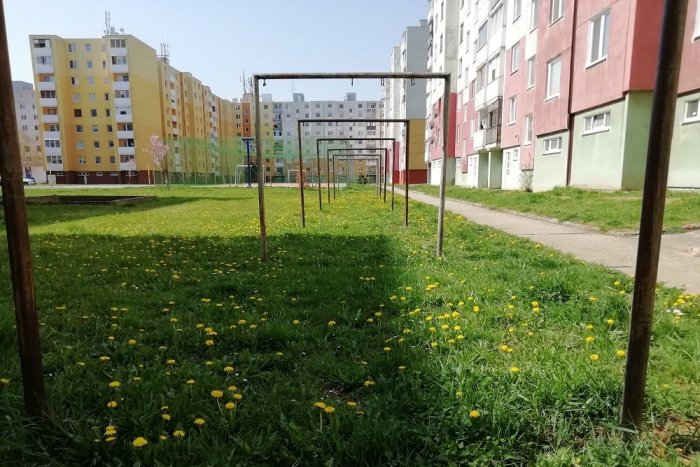 Ilustračný obrázok k článku V Humennom sa už vo veľkom dvíha tráva: Technické služby sú pripravené na kosbu