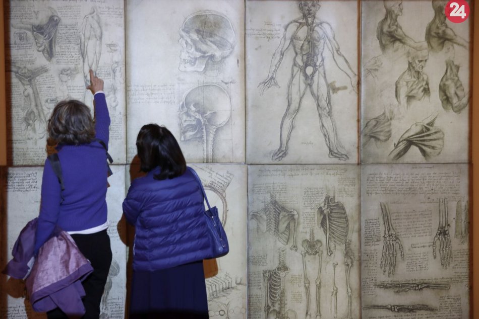 Ilustračný obrázok k článku Leto v Bojniciach spríjemní nová výstava: Predstavuje stroje Leonarda da Vinciho