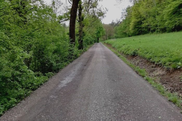 Ilustračný obrázok k článku Na Hubkovej sa uskutoční zaujímavé podujatie: Súvisí s prichádzajúcim Dňom matiek