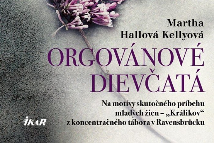 Ilustračný obrázok k článku Desivé i dojímavé: Začítajte sa do románu Orgovánové dievčatá