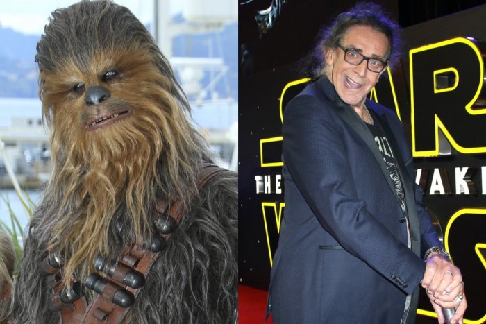 Ilustračný obrázok k článku Zomrel herec Peter Mayhew: Stvárnil kultového Chewbaccu z Hviezdnych vojen