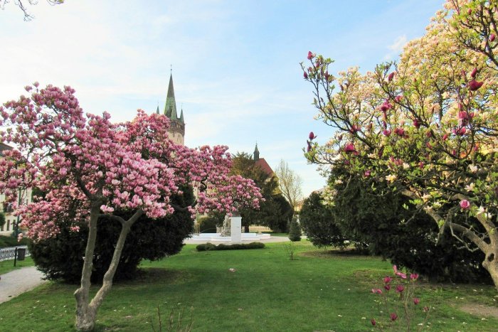 Ilustračný obrázok k článku Trojica najlákavejších článkov týždňa: Prečítajte si ich aj vy