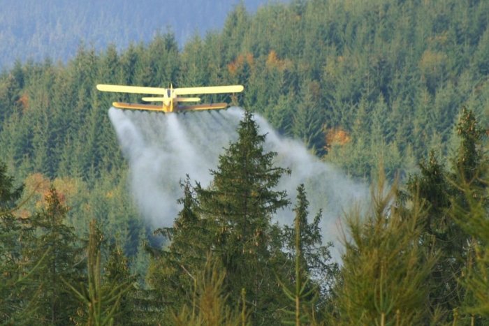 Ilustračný obrázok k článku Podľa ochranárov sú postreky lesov zbytočné: Lesníci tvrdia, že im to káže zákon