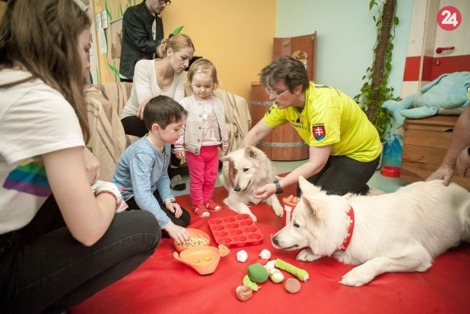 Ilustračný obrázok k článku Jedinečný projekt v bystrickej nemocnici: Choré deti pomáhajú liečiť aj štvornohí terapeuti