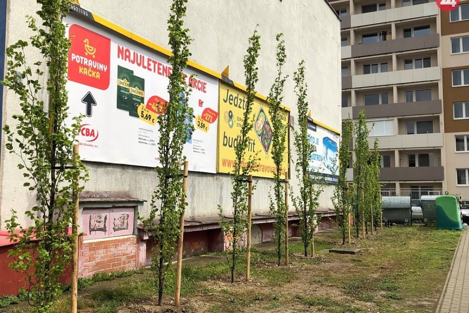 Ilustračný obrázok k článku Inšpirácia pre Bratislavu: Starosta Malaciek zatočil s bilbordami originálne