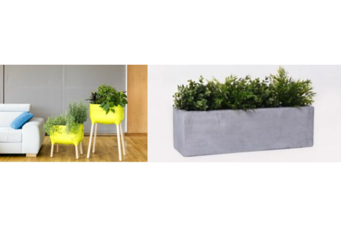 Ilustračný obrázok k článku Skrášlite si domov bylinkami