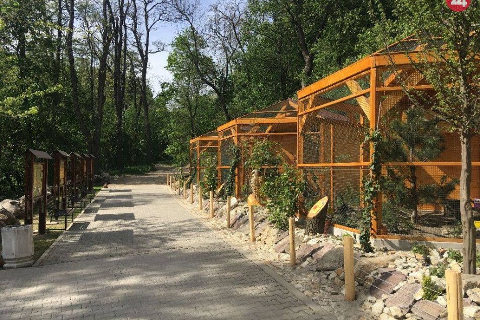 Ilustračný obrázok k článku FOTO: V bratislavskej ZOO sa môžete prejsť po soviom náučnom chodníku