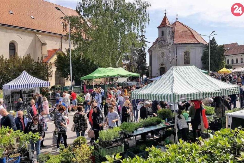 Ilustračný obrázok k článku Deň kvetov hral všetkými farbami: Hlohovčania si užili jubilejný 20. ročník, FOTO