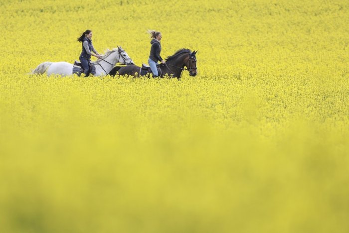 Ilustračný obrázok k článku RANNÁ ŠTVORKA: V pondelok vystúpia teploty do 14 °C, meniny má Servác