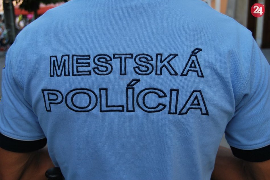 Ilustračný obrázok k článku Žilina nakupuje cez projekty: Novinky pre deti, seniorov aj mestských policajtov