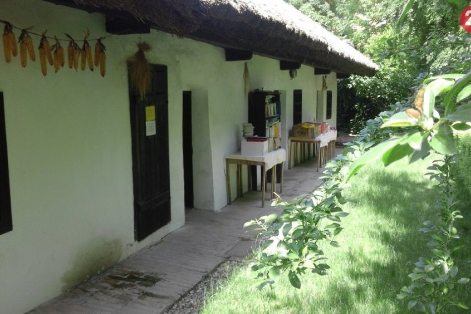 Ilustračný obrázok k článku Drevo malo cenu zlata: Historický poklad odhaľuje vynaliezavosť starých Šaľanov