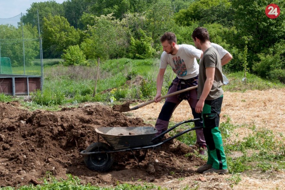 Ilustračný obrázok k článku Dedinka Slepčany chce ísť príkladom: Dala vysadiť niekoľko desiatok stromčekov