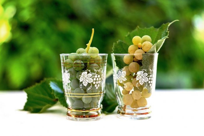 Ilustračný obrázok k článku Hájčania chystajú atraktívnu akciu: Príďte na ochutnávku vín