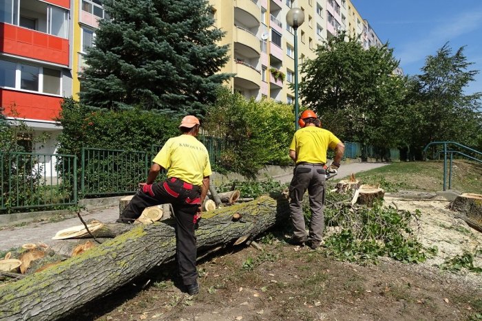 Ilustračný obrázok k článku Starostka Karlovej Vsi vydala okamžitý zákaz využívania školských areálov