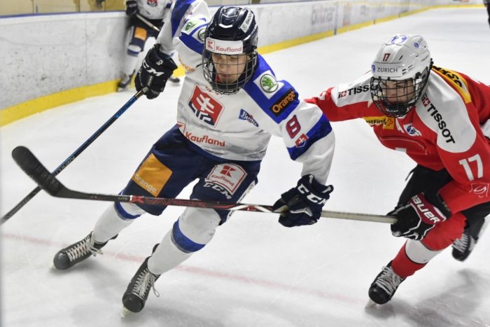 Ilustračný obrázok k článku Projekt hokejovej "osemnástky" znova ožije: Cieľom návrat medzi elitu