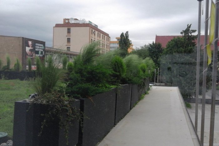 Ilustračný obrázok k článku Zelená strecha radnice ožíva: Darí sa rozchodníkom aj drevinám, FOTO