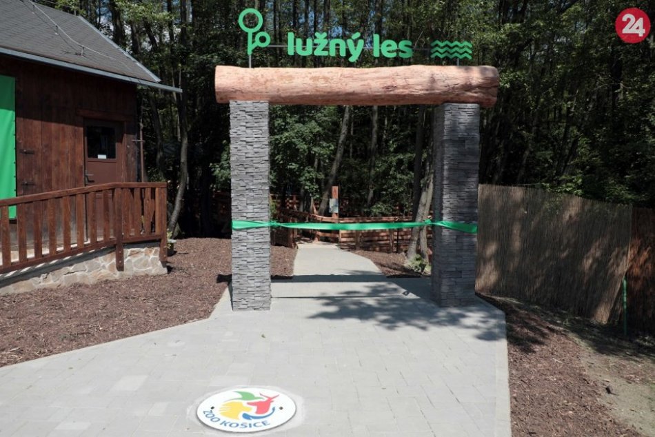 Ilustračný obrázok k článku V košickej zoo prvýkrát otvoria vonkajšiu expozíciu pre plazov a obojživelníky