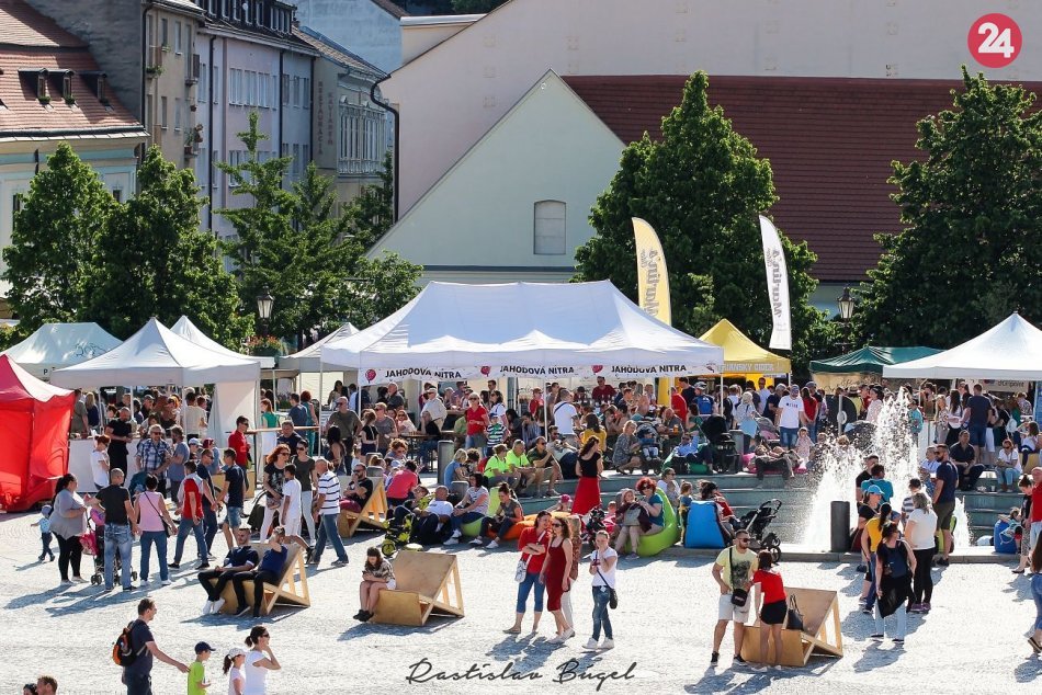 Ilustračný obrázok k článku Kraj skončil v elektronickom sčítaní na piatom mieste: Ako sa darilo Nitre?