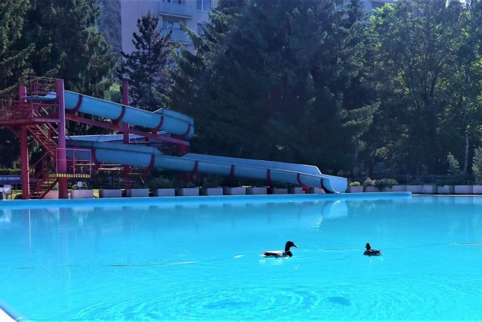 Ilustračný obrázok k článku Letné kúpalisko v Považskej sa zmení: VIZUALIZÁCIA nového toboganu