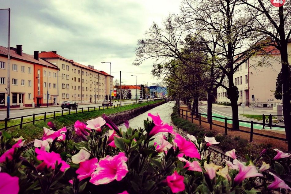 Ilustračný obrázok k článku Určite vás bude zaujímať: Cestovanie v popradskej MHD bude v tento deň zdarma!