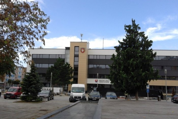 Ilustračný obrázok k článku Šaľa postupuje s projektom Islandského modelu: Pomôcť by mohol Mládežnícky parlament