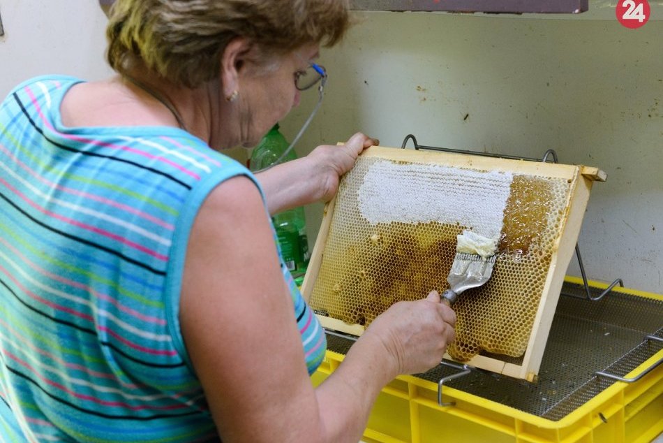 Ilustračný obrázok k článku Chystá sa deň plný zábavy a chuti: Na Šariši oslávia bardejovský med nevšedným festivalom