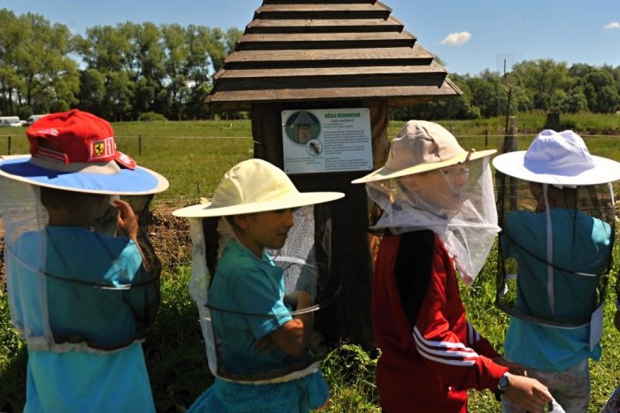 Ilustračný obrázok k článku Zameškané učivo? Petržalka má plán na leto, ktorý má pomôcť deťom aj rodičom